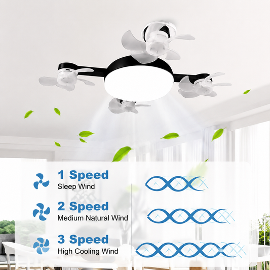 F4- Multifunctional Fan Light