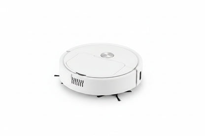 Automatic Sweeping Robot